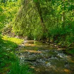Elzbieta